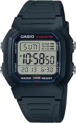 Часы Casio TIMELESS COLLECTION W-800H-1AVEF