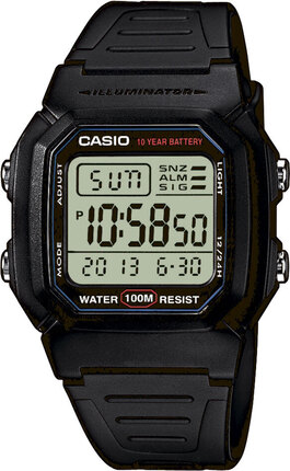 Часы Casio TIMELESS COLLECTION W-800H-1AVES