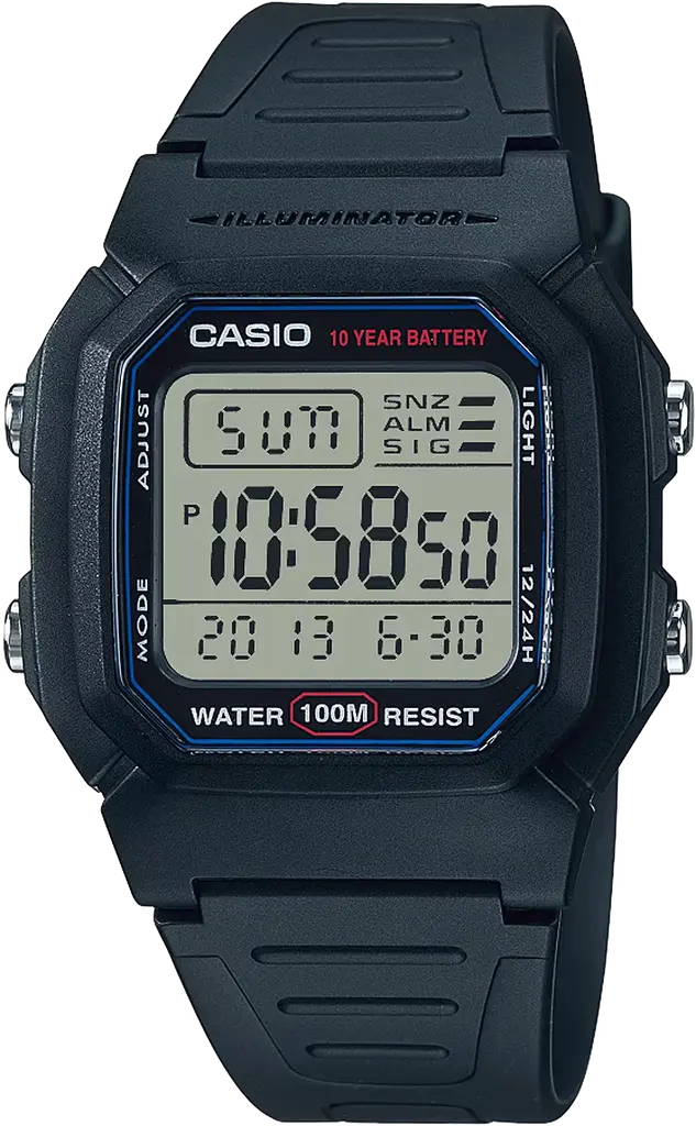Часы Casio TIMELESS COLLECTION W-800H-1AVEF
