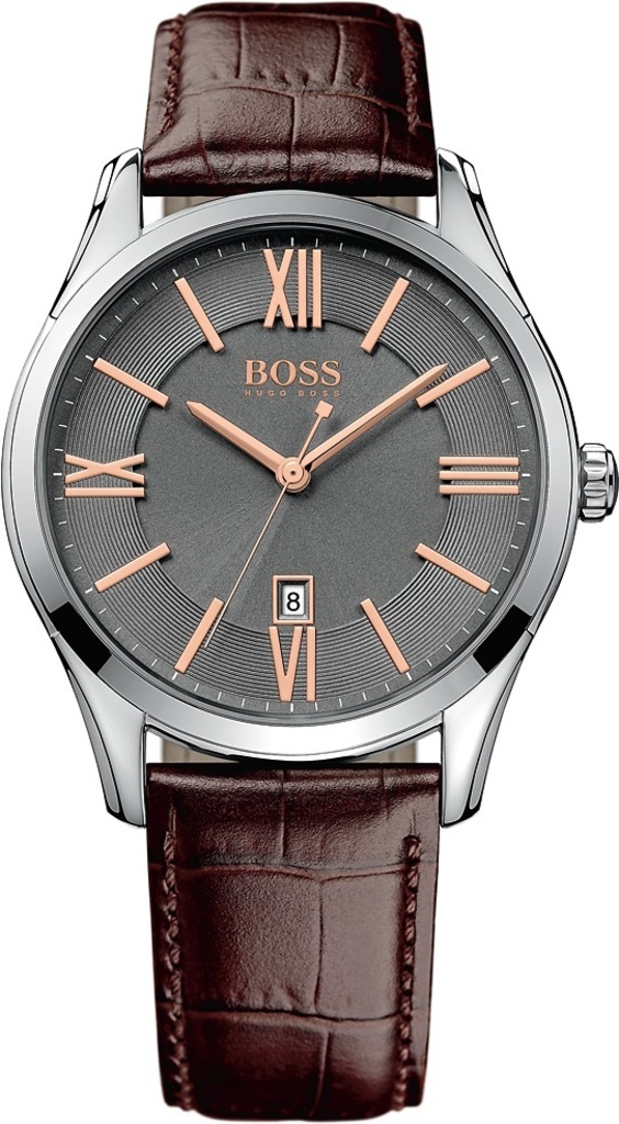 Часы HUGO BOSS 1513041